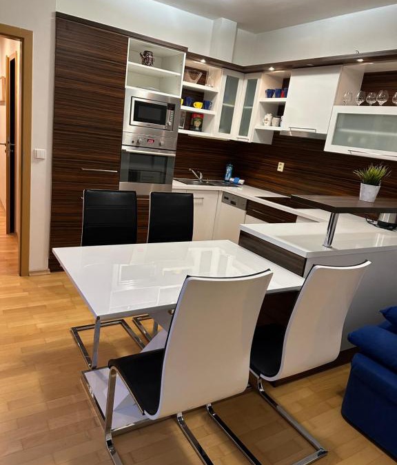 Brno Apartment | Apartments Spačilova nearly center