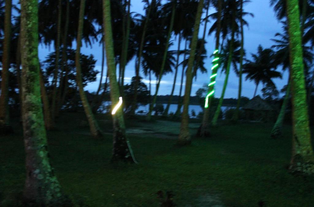 Havelock Island Resort | Aparupa Sands Marina Beach Resort