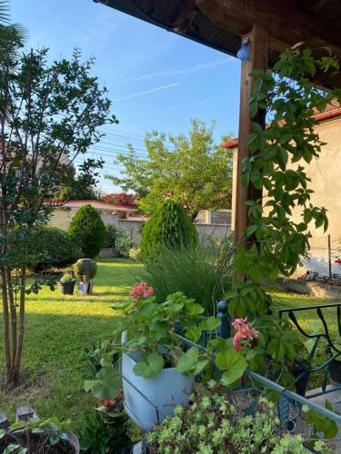 Gevgelija Apartment | ApHEARTments