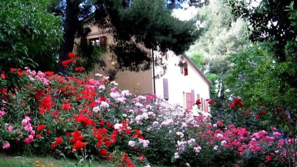 Monte San Vito Other | APP. in the MARCHIGIAN COUNTRY, Multifamily