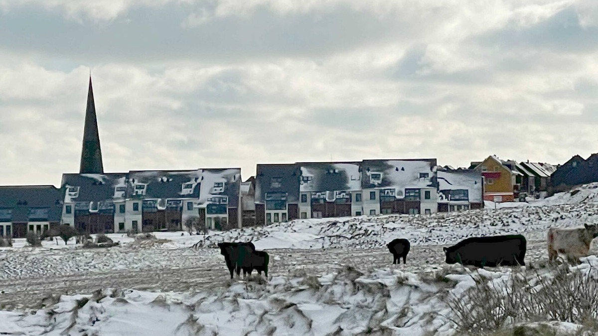 Helgoland Apartment | App. Seaside moments - gateway to the sea