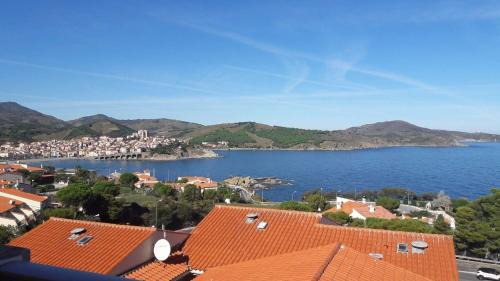 Banyuls-sur-Mer Apartment | Appart 2 pièces 4 couchages BANYULS SUR MER BN120-2201