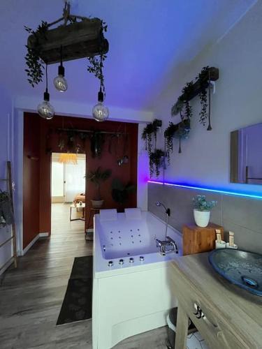 Calais City Center Apartment | Appart bain à remous et jardin proche plage l Eden