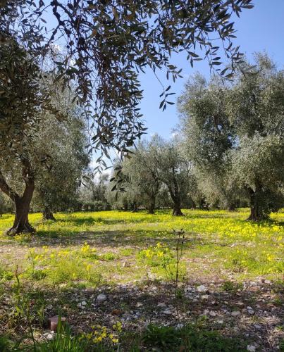 Montincello Apartment | Appartamenti Anna Maria