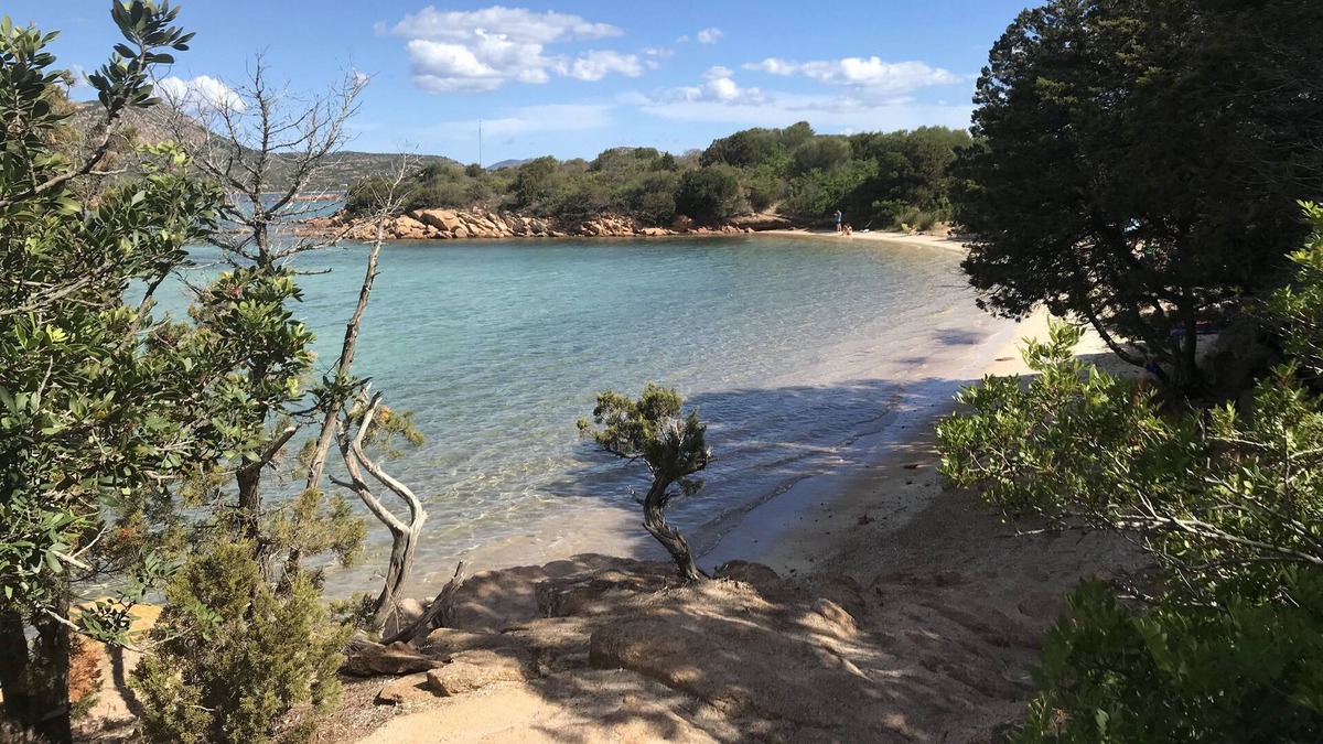 Porto San Paolo Apartment | Appartamento a Pochi Passi dal Mare con Patio e Giardino Privato