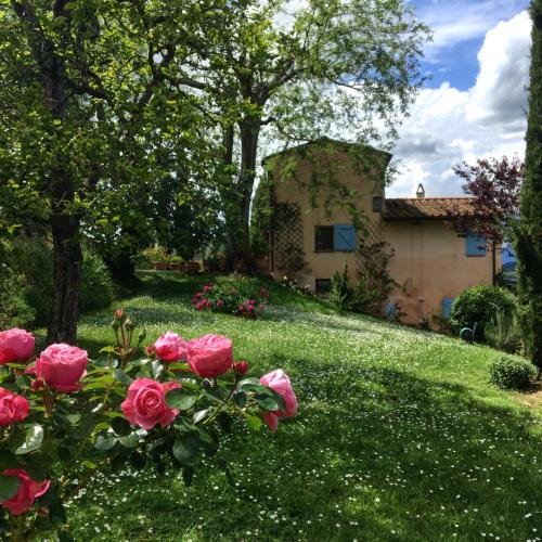 Palaia Apartment | Appartamento con terrazza privata e giardino vicino a Pisa e Firenze