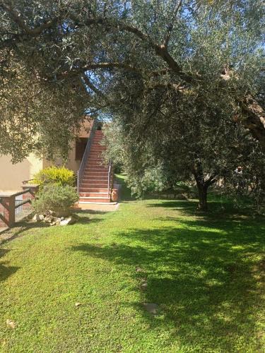 Pescia Romana Apartment | Appartamento Farfollie
