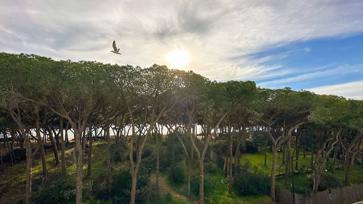 Follonica Apartment | Appartamento Follonica 87