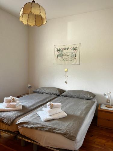 Ziano di Fiemme Apartment | Appartamento Le Sipole