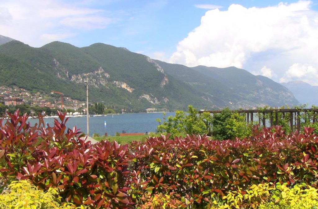 Paratico Apartment | appartamento Luisa al lago d'Iseo
