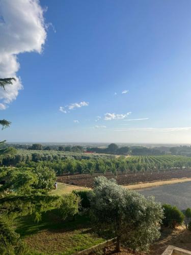 Castagneto Carducci Apartment | Appartamento Villa Caprareccia