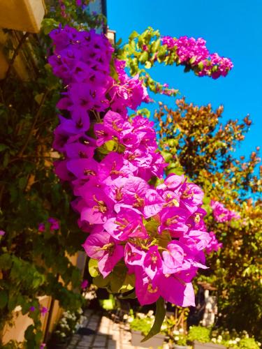 Riva del Garda House | Appartamento villatorretta24