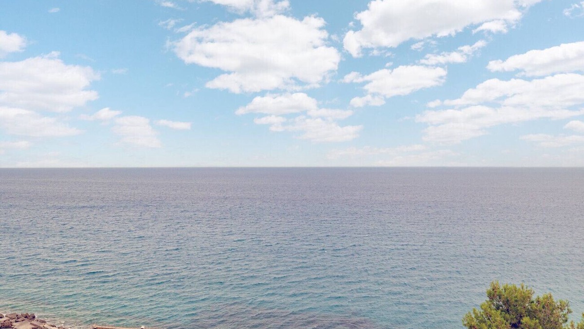 Capo Mimosa-Rollo Apartment | Appartamento Vista Mare -MIMOSA BLU