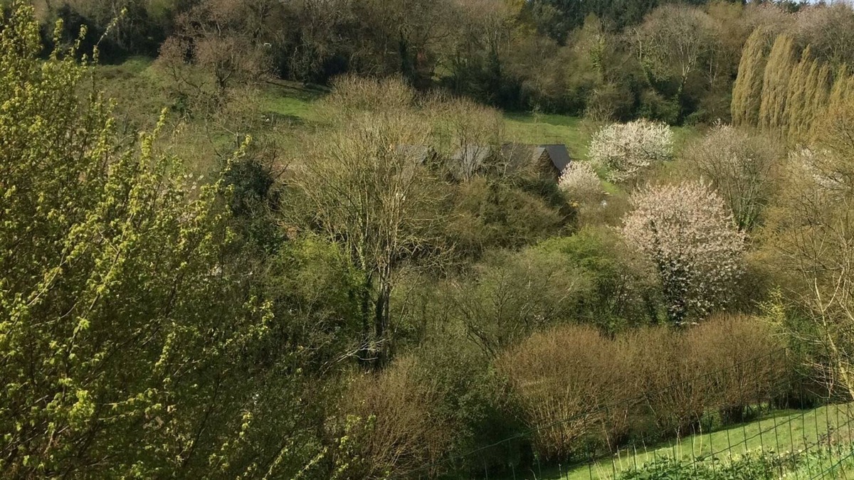 Gonneville-sur-Honfleur Apartment | Appartement 2chambres au Calme Avec Terrain Près Dhonfleur