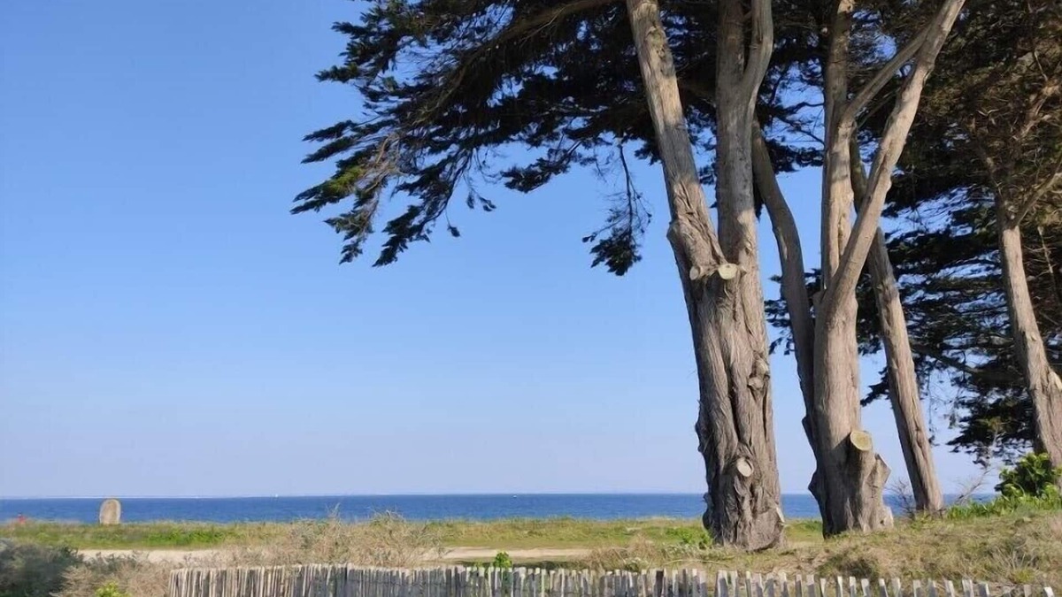Morbihan Apartment | Appartement au rdc Lumineux à 100m de la Plage Port Haliguen