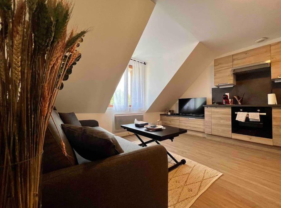 Besancon Apartment | Appartement Centre-ville/6 prsn/Bord du doubs/Au pied de la citadelle