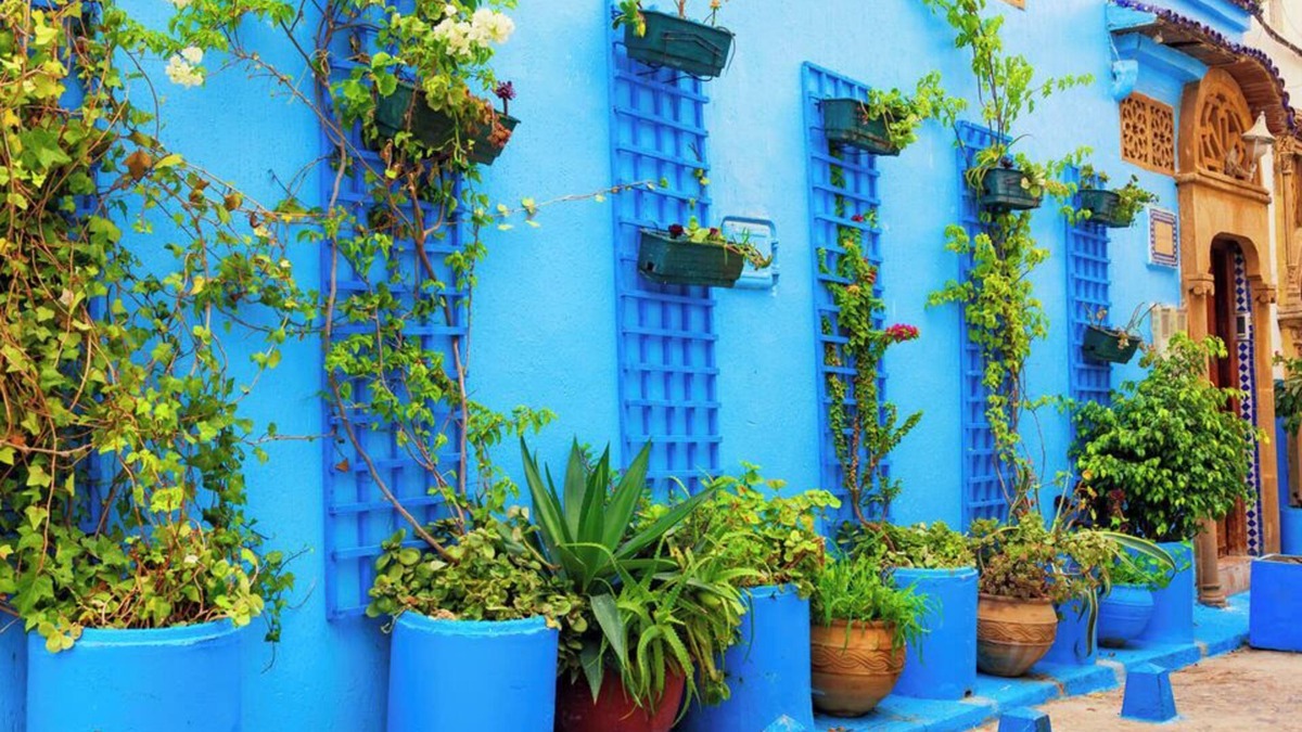 L'Ocean Apartment | Appartement Cozy & Elégant-Centre Rabat