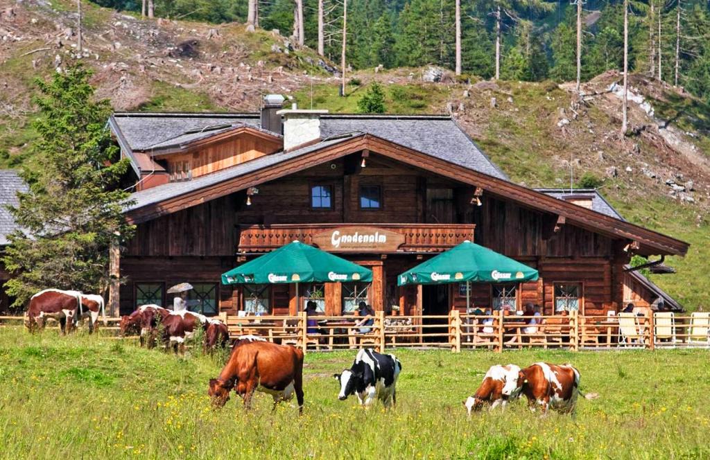 Untertauern Apartment | Appartement Gnadenalm