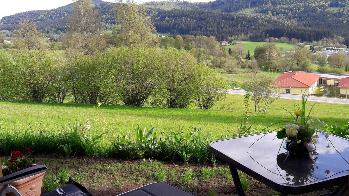 Bodenmais Apartment | Appartement Harlachberg-Blick-2