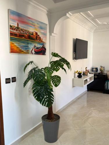 L'Ocean Apartment | Appartement Jamila
