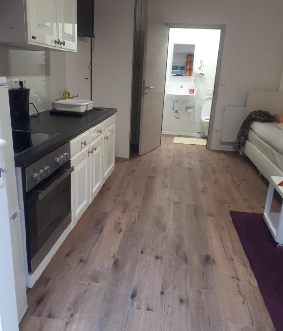 Bietigheim-Bissingen Apartment | Appartement mit Terrasse