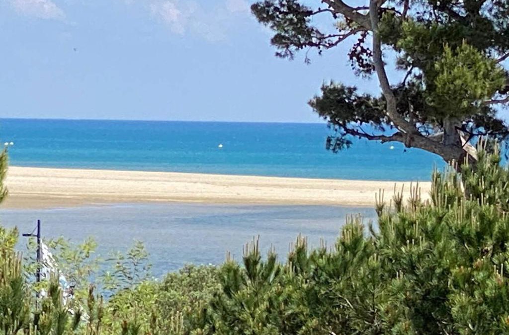 La Franqui Apartment | Appartement pour 4 pers, proche plage, parking, terrasse, commerces à proximité - FR-1-81-559