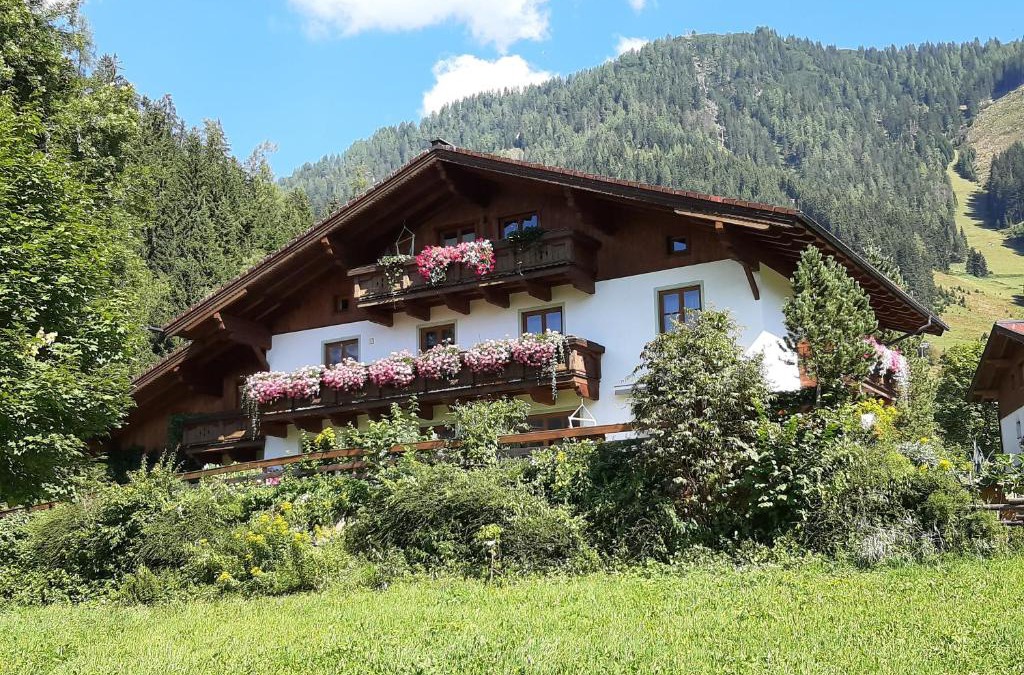 Werfenweng Apartment | Appartement Vierthaler