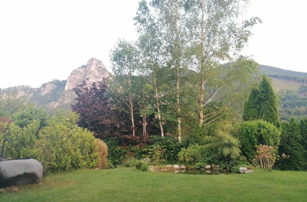 Guggenthal Apartment | Appartment Nocksteinblick