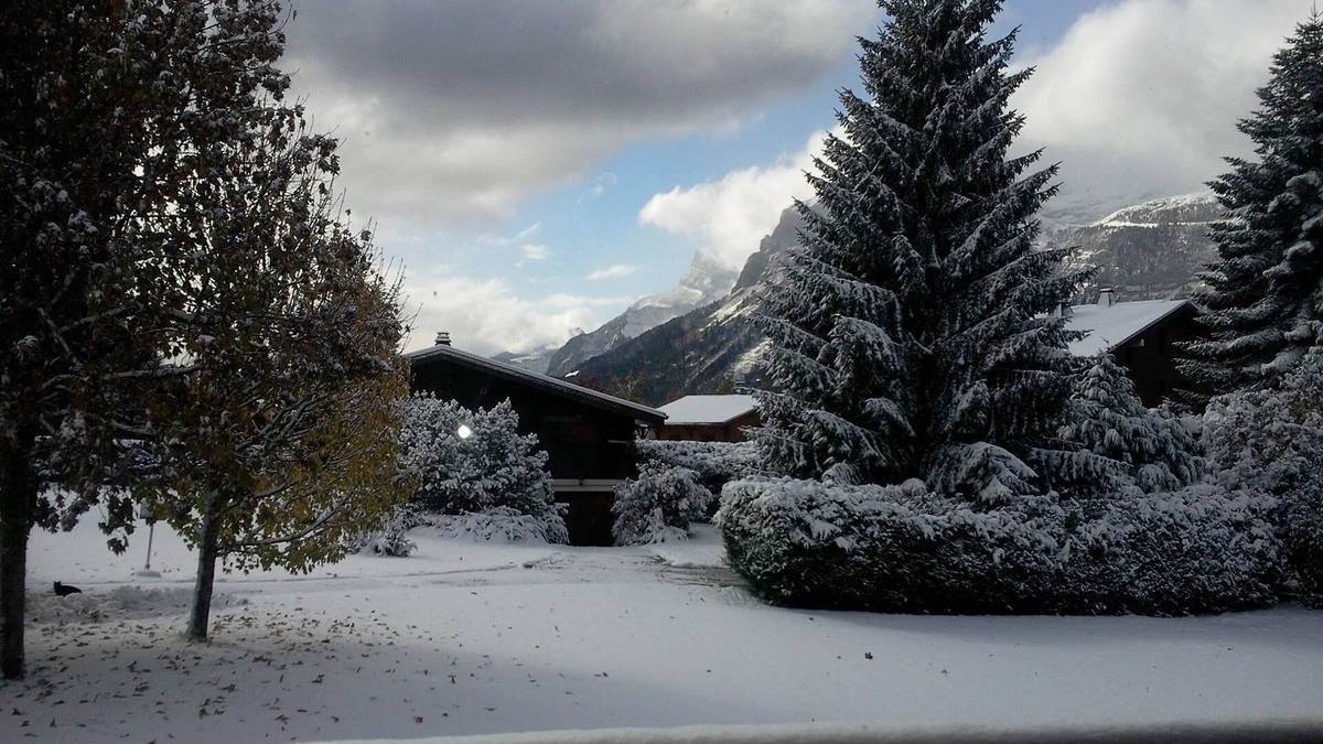 Les Carroz-d'Araches Apartment | Apt 2-6p CARROZ Winter ski GRAND MASSIF FLAINE MORILLON SAMOENS + Hiking in summer