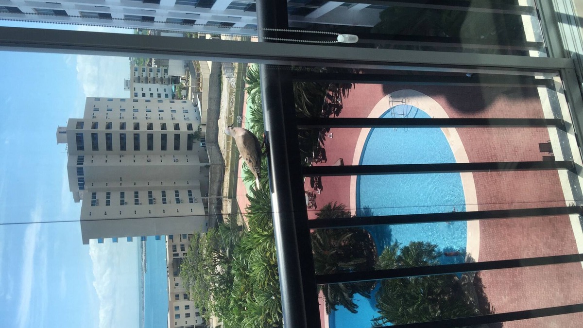 Punta Blanca Apartment | Apt loft type open floor