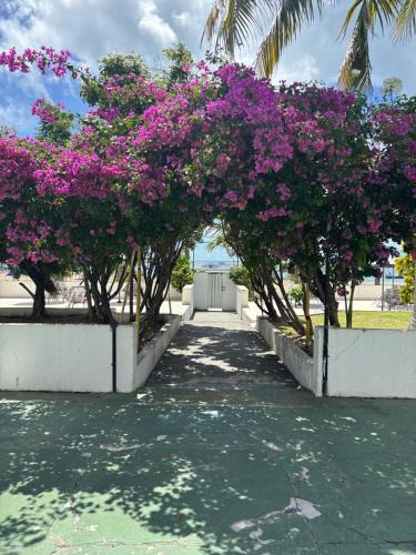 Candeias Apartment | Apto 3 quartos pé na areia Prox de Recife