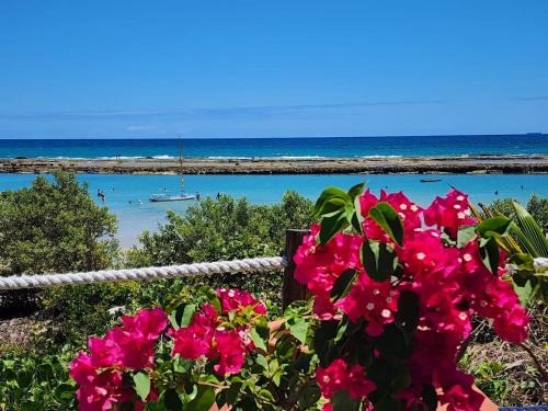 Porto de Galinhas Apartment | Apto Beira Mar-Muro Alto-Porto de Galinhas-Polin
