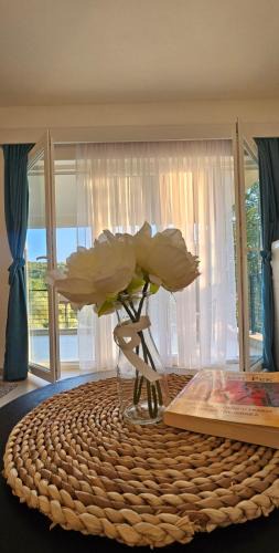 Glavaticici Apartment | Aqua Apartments