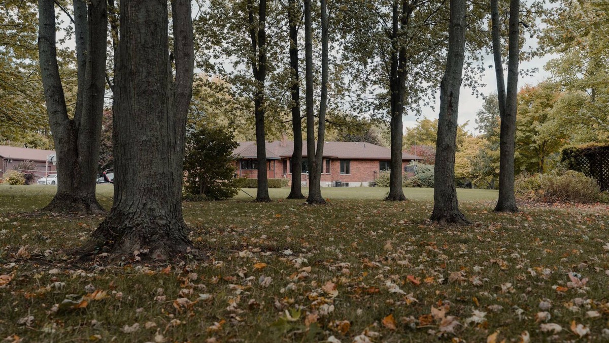 Bayfield Cottage | Aqua Vista Cottage - 10-acre retreat with 1,000 feet of private beachfront
