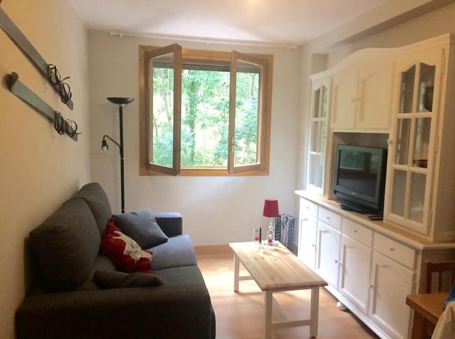 Canfranc-Estacion Apartment | Arañones