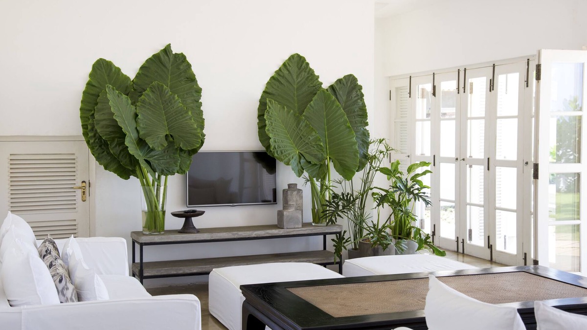Boossa Hotel | Arabella on Boossa