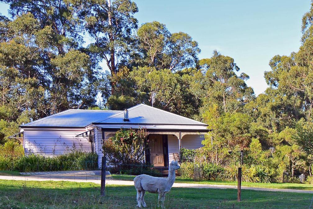 Lakes Entrance Cabin | Araluen Park Cottages