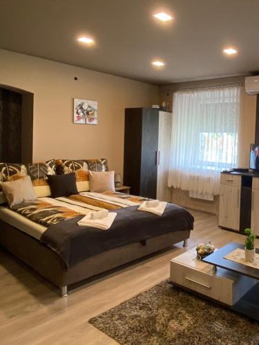 Tokaj Apartment | Aranyfürt Apartmanház