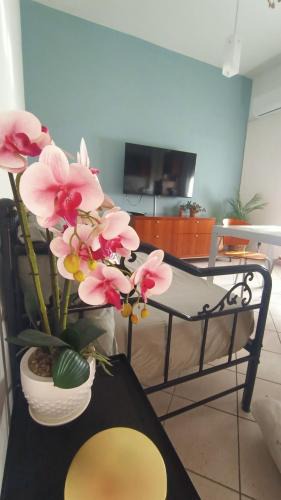 Pescara Apartment | Arapietra Home