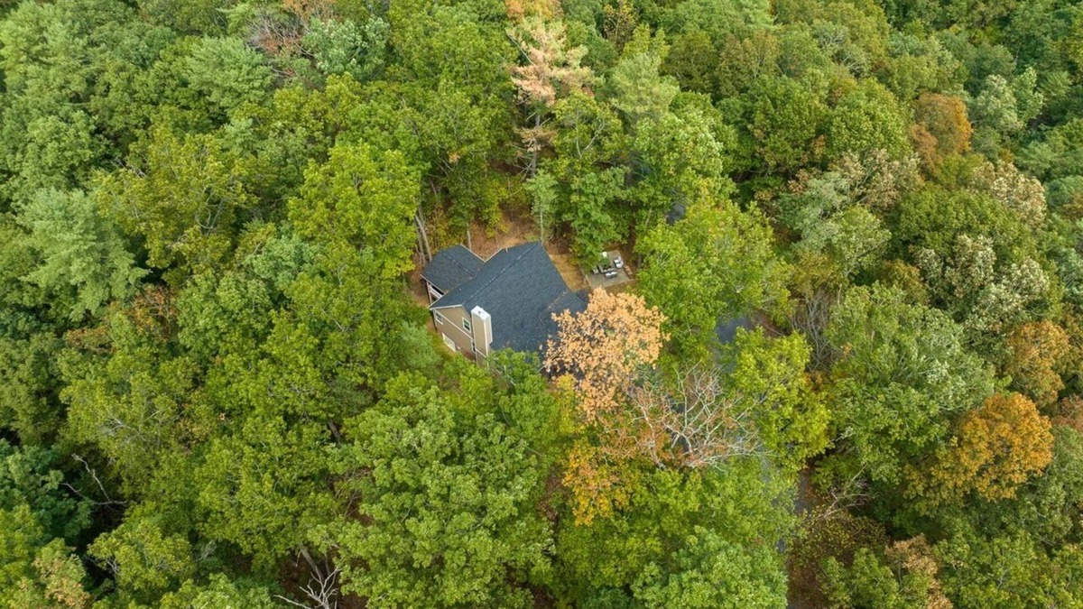Mount Jackson Cottage | Arcadian's Cottage | Woodland home w/custom firepit