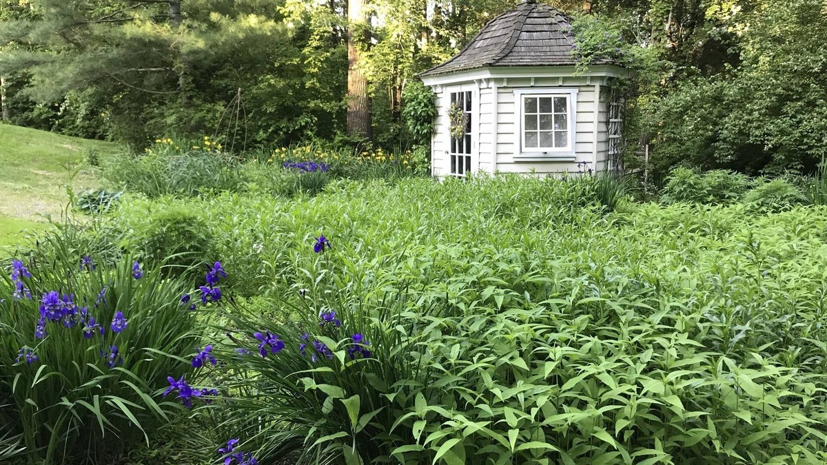 Princeton House | Architectural Beauty in Princeton is the perfect home for a family retreat