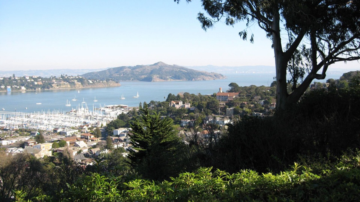Sausalito House | architectural gem with stunning views