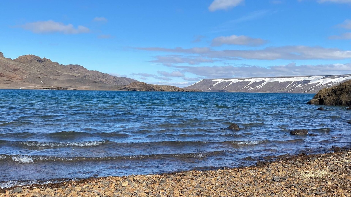 Vogar House | Arctic Wind