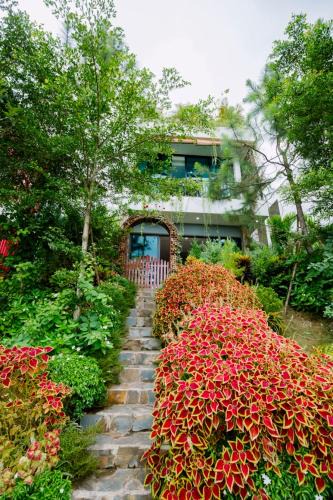 Phuc Yen Villa | ARECA VILLA F316 Venus- Bể bơi nước ấm - Warm water swimming pool, Xông hơi - Sauna, Bi-A, Sup, Karaoke, BBQ, Wifi free