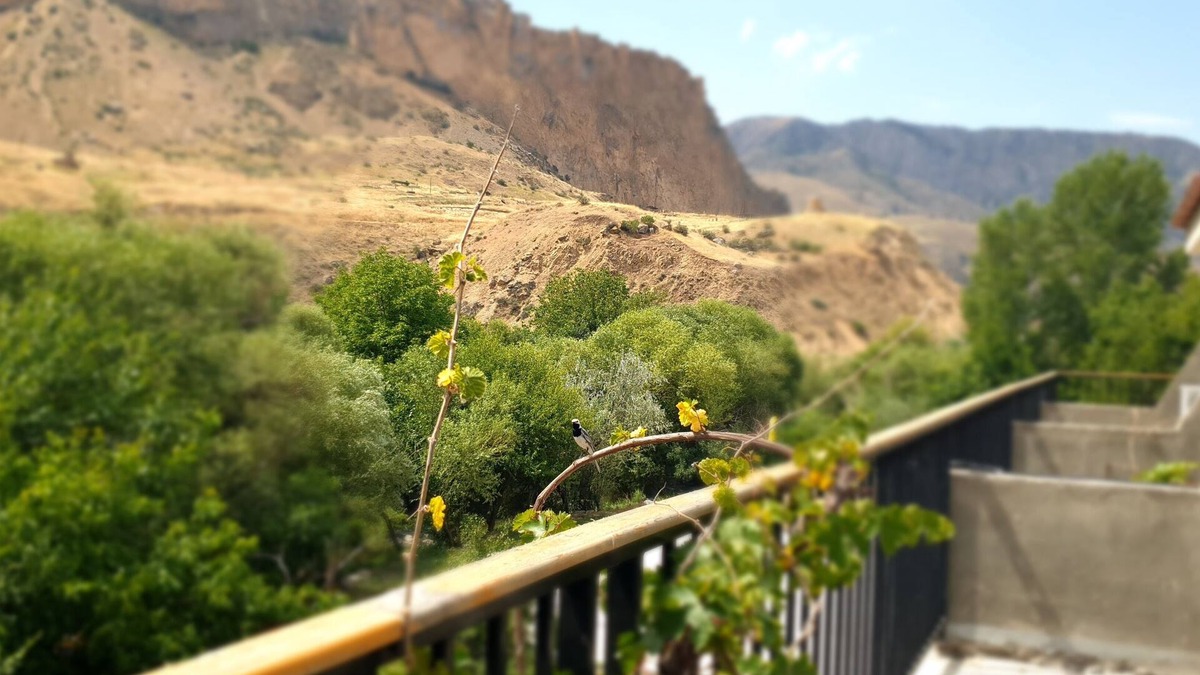 Areni Hotel | Areni Lodge
