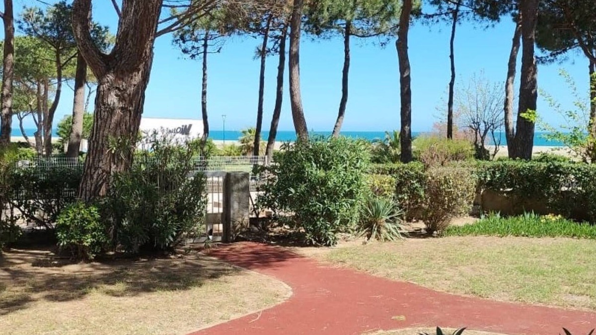 Argeles Plage Apartment | ARGELES direct beach Apt 2p CLIM