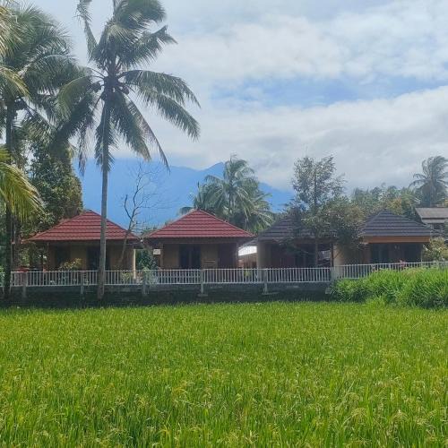 Kecamatan Montong Gading House | Arif Bungalows Lombok