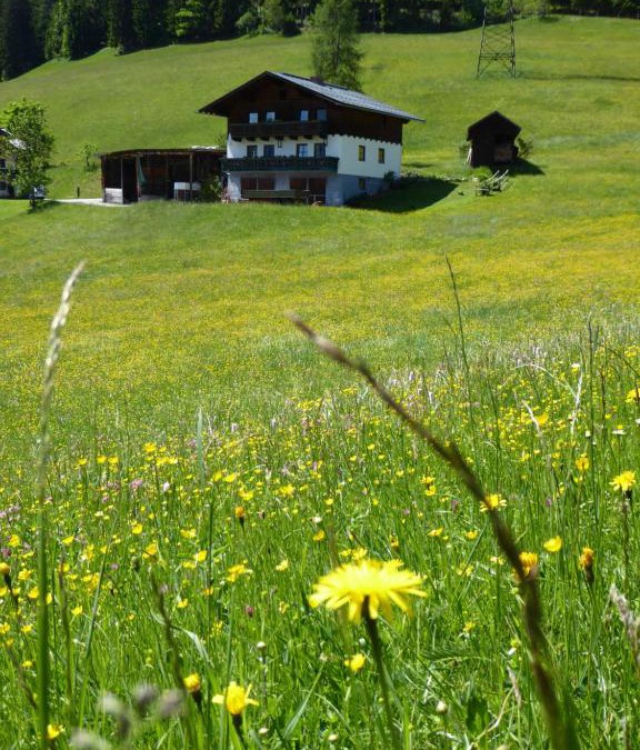 Maschl Apartment | Arlberggut