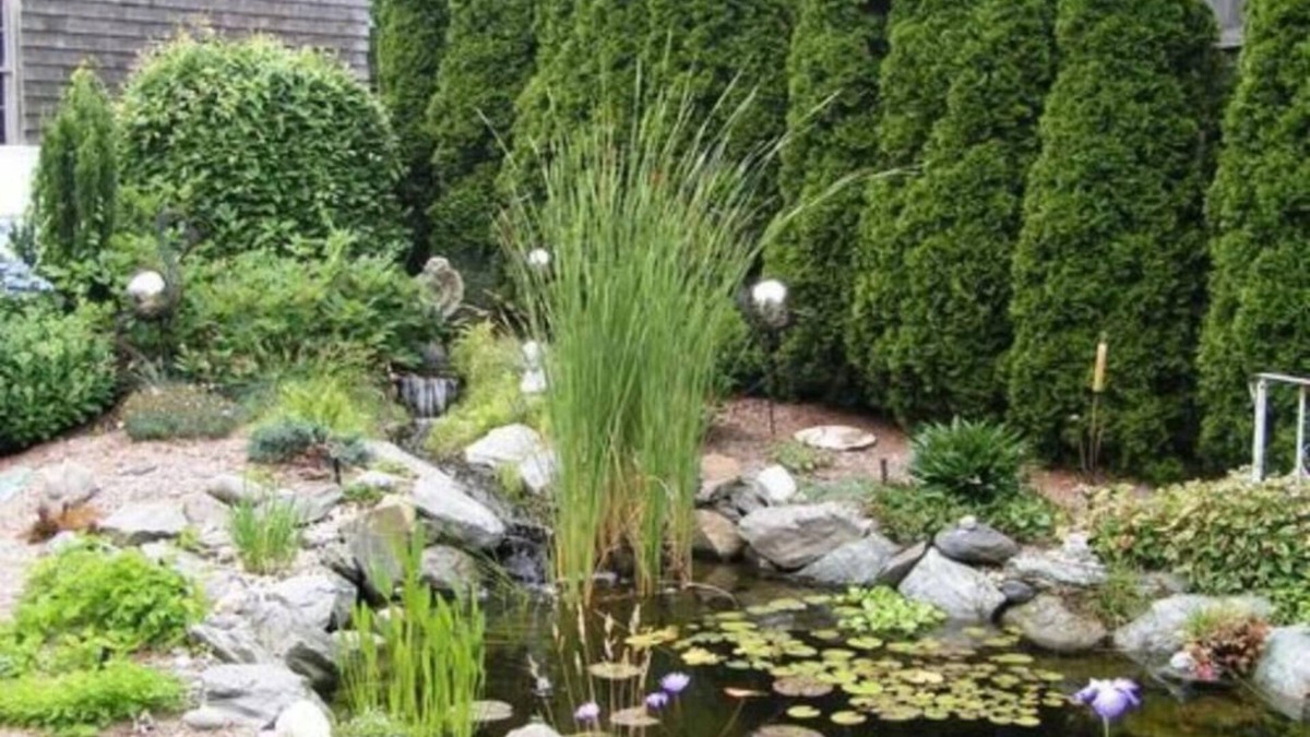 Top of the Hill Bed & Breakfast | Armistead Cottage B&B