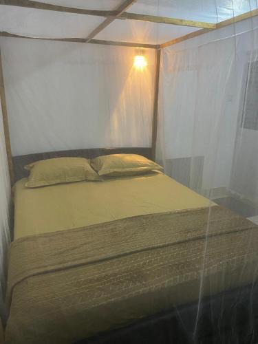 Weligama Hotel | Aromin Ayurvedic Palace